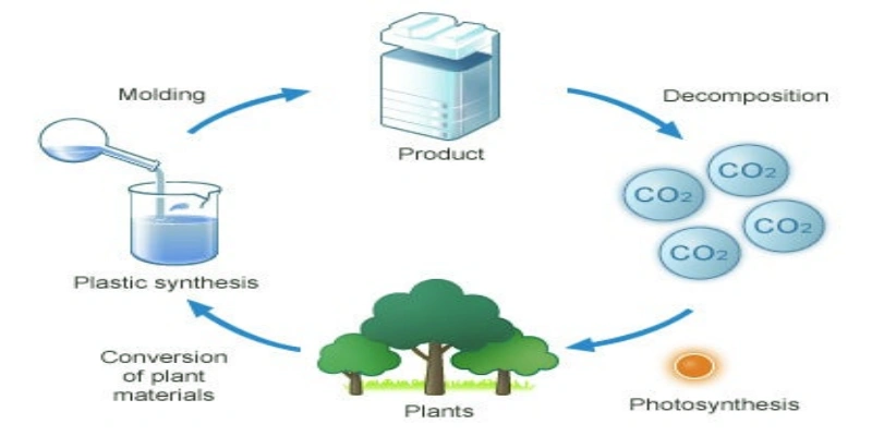 Material Composition and Degradation Mechanism of Biodegradable Pallet Wrap